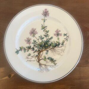Villeroy & Boch Botanica Thymus 8" Salad Plate Set Of 2 Cottage Core With Roots